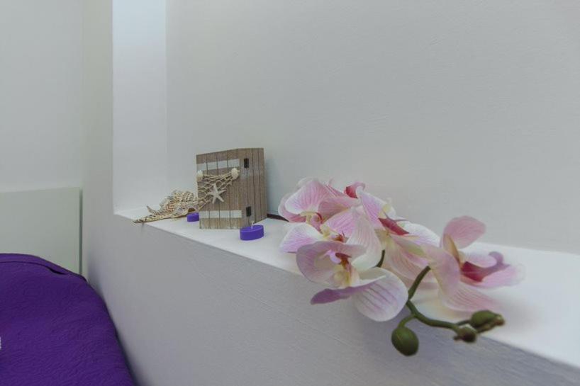 Apartament Gabi Grebaštica Zewnętrze zdjęcie
